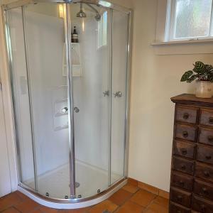 a glass shower stall in a bathroom with a dresser at Wisteria Cottage in Russell +21 photos