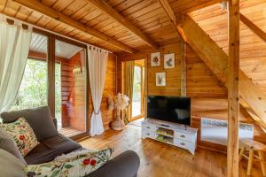 a living room with a couch and a tv in a cabin at Leśniczówka Białogóra & jacuzzi in Białogóra