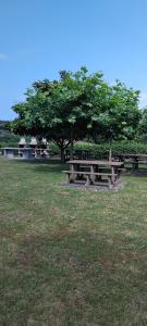 a picnic table in a field with a tree at Apartmento en Xove in Jove
