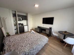 ein Zimmer mit einem Bett, einem Schreibtisch und einem Fernseher in der Unterkunft Aismé in Toulouse + 1 Foto