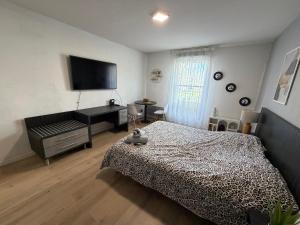 ein Schlafzimmer mit Bett, Schreibtisch und Fernseher in der Unterkunft Aismé in Toulouse
