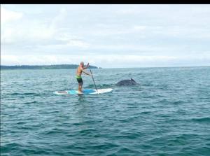 a man standing on a paddle board in the ocean at Paraisurf colombia in Nuquí +38 photos