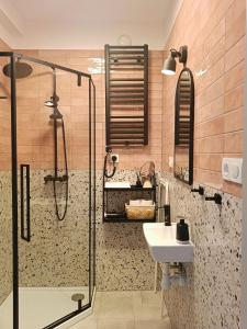 a bathroom with a shower and a sink at Domki na polance in Horyniec