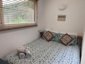 a bedroom with a bed with pillows and a window at Foxglove cabin in Bodmin