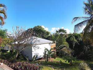 a small white house with palm trees and bushes at Tialba Lodge in Sainte-Anne