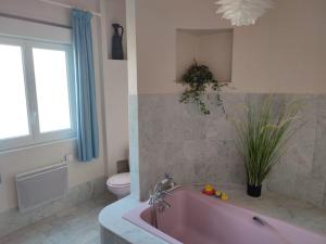 a bathroom with a pink tub and a toilet at Vaste et confortable maison à la campagne in Villotte-sur-Aire +29 photos
