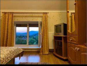 a bedroom with a television and a window with a view at Садиба в горах in Solochyn