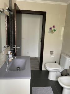 a bathroom with a white toilet and a sink at Terraço d’Aldeia in São Pedro do Sul +28 photos