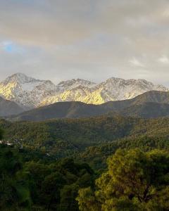 a mountain range with snow covered mountains in the distance at Kahani Cottages Palampur in Paror
