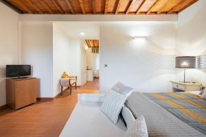 a bedroom with a bed and a television in it at Cascina De' Fagiolari in Lastra a Signa