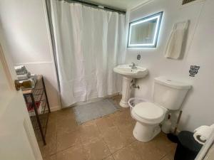 a bathroom with a toilet and a sink at Lower Level Luxury in Chicago +27 photos