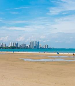 a sandy beach with a city in the background at Lower Level Luxury in Chicago