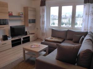 a living room with a couch and a television at Bergidylle in Kurort Oberwiesenthal