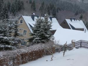 a house in the snow with a fence and trees at Bergidylle in Kurort Oberwiesenthal