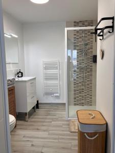 a bathroom with a shower and a toilet and a sink at Le cocon de Joëly in Rosières-près-Troyes