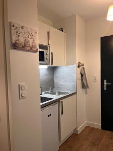 a small kitchen with a sink and a microwave at Le cocon de Joëly in Rosières-près-Troyes