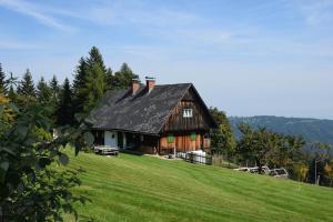 a house on top of a grassy hill at Biobauernhof Gegg in Schwanberg