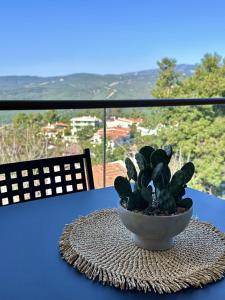 a plant in a bowl on a table with a view at Panorama Serenity Suites in Thessaloniki