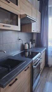a kitchen with a sink and a stove and cabinets at Apartament Elizabeth in Głubczyce