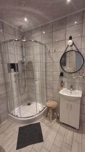a bathroom with a shower and a sink at Apartament Elizabeth in Głubczyce