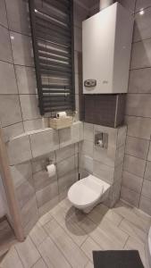 a bathroom with a toilet and a sink at Apartament Elizabeth in Głubczyce