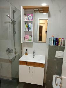 a bathroom with a sink and a shower at Fort view in Doboj +18 photos