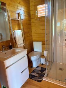 a bathroom with a toilet and a sink and a shower at Retiro Sereno in Cadaval +21 photos