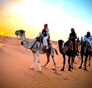 a group of people riding on camels in the desert at Sahara Imperial Luxury Camp in Merzouga