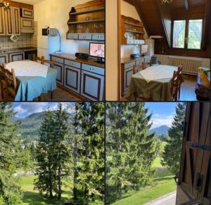 a house with a view of the mountains at Erika in Tarvisio