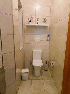 a small bathroom with a toilet and some flowers at Deggies Apartments - spacious, modern apartment! in Naxxar
