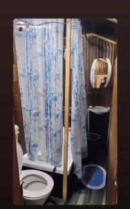 a small bathroom with a toilet and a shower at Houseboat Blackpearl in Srinagar