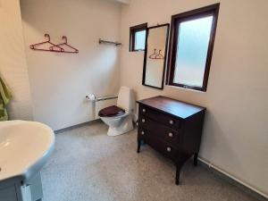a bathroom with a toilet and a sink and a mirror at 4 star holiday home in Ry in Ry +16 photos