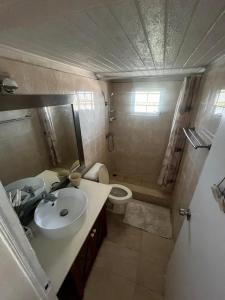 a small bathroom with a sink and a toilet at Mawoon House in Friar's Bay
