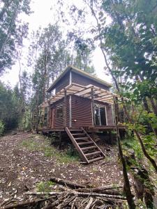 a wooden cabin in the middle of a forest at Refugió Chaicura in Notuél