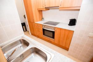 Kuchyň nebo kuchyňský kout v ubytování Apartaments Ashome + 37 fotografií