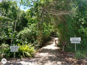 a trail in the middle of a forest with signs at Varanda encontro do mar in Marechal Deodoro