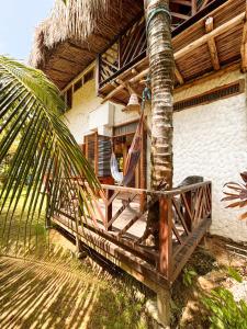Jardí fora de Maria Moñitos Hostel