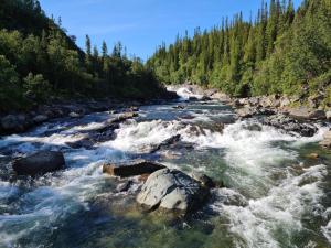 a river with rapids and rocks and trees at Charming Red Farmhouse Near Forsheda in Krokom