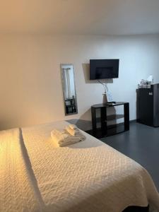 a bedroom with a bed with a mirror and a tv at Thompson House in Orotina +41 photos