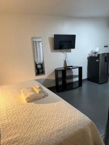 a bedroom with a bed and a flat screen tv at Thompson House in Orotina