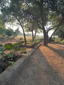 a row of trees in a park with a dirt road at Emerald Hotel Sigiriya in Dambulla