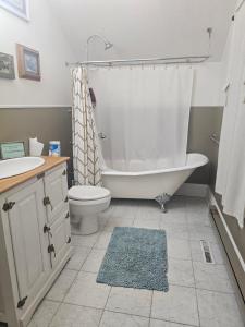 a bathroom with a tub and a toilet and a sink at Waterfront the Alcove in Duluth +26 photos