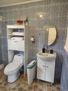 a bathroom with a toilet and a sink and a mirror at Cabañas Entrelagos - Naturaleza , parrilla y tranquilidad cerca de Huilo -Huilo in Choshuenco +25 photos