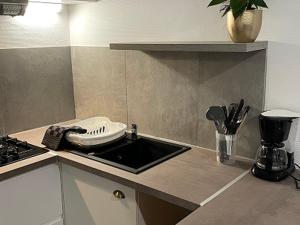 a kitchen with a sink and a mixer on a counter at Studio confortable - 4 pers. - API-1-52-2047 in Saint-Girons +5 photos