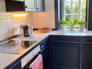 a kitchen with a sink and a counter top at Schroeders-Haus-Mitte in Kampen