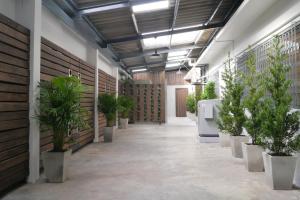um corredor com vasos de plantas num edifício em Baan Mai Guest House em Banguecoque