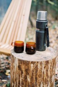 a bottle of water sitting on top of a tree stump at Skogstead Cabin in the boreal forest in Fairbanks
