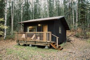 a black tiny house in the middle of a forest at Skogstead Cabin in the boreal forest in Fairbanks
