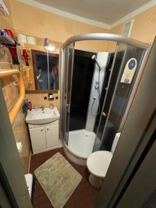 a bathroom with a shower and a toilet and a sink at 2 istabu dzīvoklis in Aizkraukle