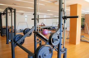 Fitnesscenter och/eller fitnessfaciliteter på Studio Apartment 134B Vucko